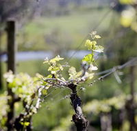 Norton Estate Wines - Holiday Great Ocean Road