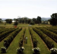 Rochford Wines - Holiday Great Ocean Road