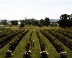 Rochford Wines - Holiday Great Ocean Road 0