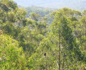 Bunyip State Park - Holiday Great Ocean Road 0