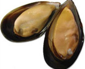 Sea Bounty - Holiday Great Ocean Road 0