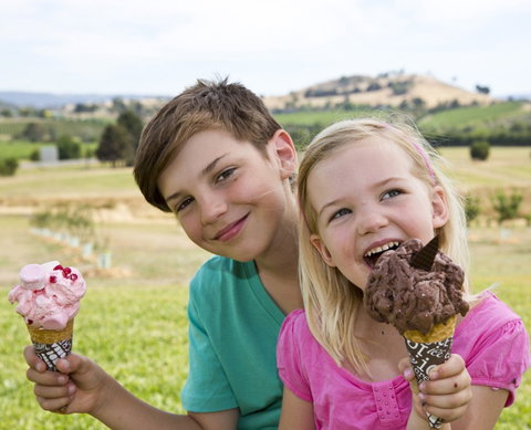 Yarra Valley Chocolaterie & Ice Creamery - Holiday Great Ocean Road 6