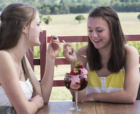 Yarra Valley Chocolaterie & Ice Creamery - Holiday Great Ocean Road 8