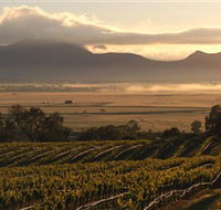 Montara Wines - Holiday Great Ocean Road