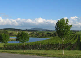 Yarrawood Estate - Holiday Great Ocean Road 0