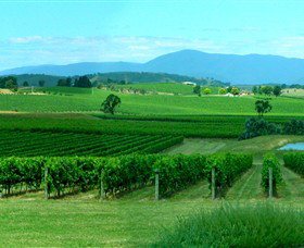 Acacia Ridge Vineyard - Holiday Great Ocean Road 0