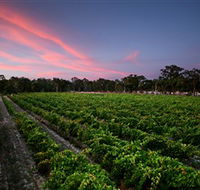 Amherst Winery - Holiday Great Ocean Road