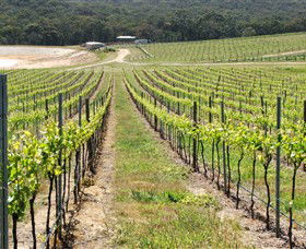 M Chapoutier Australia - Holiday Great Ocean Road 0