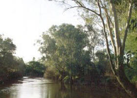 Banksia Park - Holiday Great Ocean Road 0