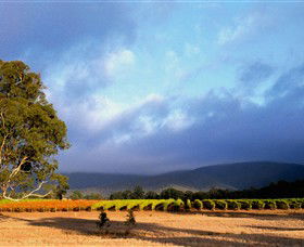 Mount Avoca - Holiday Great Ocean Road 0