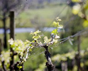 Kyneton Ridge Estate - Holiday Great Ocean Road 0