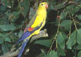 Lake Hindmarsh Reserve - Holiday Great Ocean Road 0