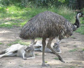 Bundoora Park - Holiday Great Ocean Road 0