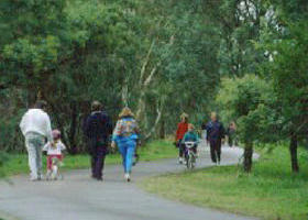 Birrarrung Park - Holiday Great Ocean Road 0