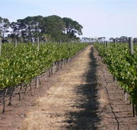 Mount Beckworth Wines - Holiday Great Ocean Road