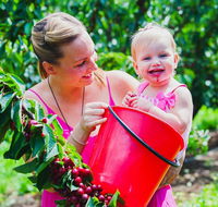 Cherryhill Orchards - Holiday Great Ocean Road