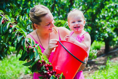 Cherryhill Orchards - Holiday Great Ocean Road 0