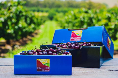 Cherryhill Orchards - Holiday Great Ocean Road 3