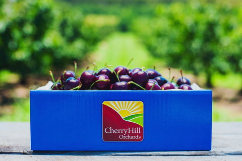 Cherryhill Orchards - Holiday Great Ocean Road 8