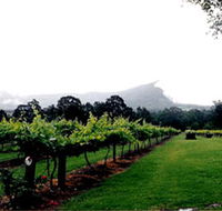 Cambewarra Estate Wines - Holiday Great Ocean Road
