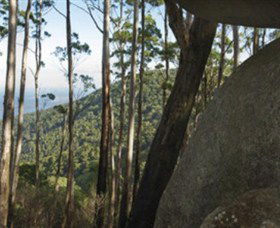 Gulaga National Park - Holiday Great Ocean Road 0