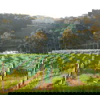 Tilba Valley Wines - Holiday Great Ocean Road