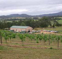 Villa d Esta Vineyard - Holiday Great Ocean Road