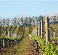 Philip Shaw Wines - Holiday Great Ocean Road