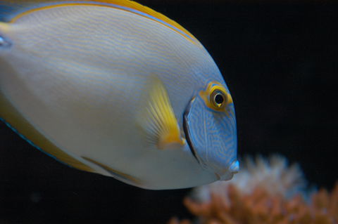 Solitary Islands Aquarium - Holiday Great Ocean Road 3