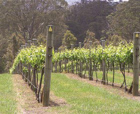 Diamond Creek Estate Cellar Door - Holiday Great Ocean Road 2