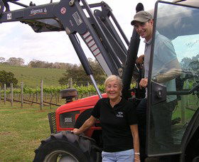 Diamond Creek Estate Cellar Door - Holiday Great Ocean Road 4