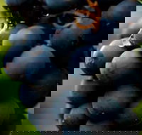 Swinging Bridge Estate - Holiday Great Ocean Road