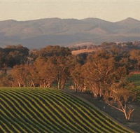 Angullong Wines - Holiday Great Ocean Road