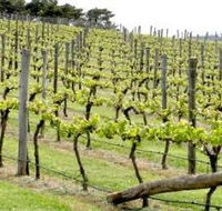 Bantry Grove - Holiday Great Ocean Road