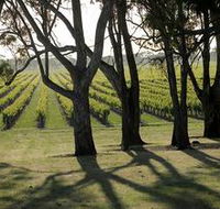 Henry's Drive Vignerons - Holiday Great Ocean Road