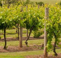 Mt Coghill Vineyard - Holiday Great Ocean Road