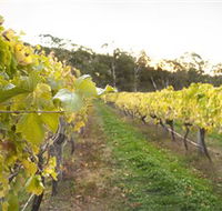 Harcourt Valley Vineyards - Holiday Great Ocean Road