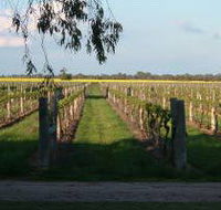 Water Wheel Vineyards - Holiday Great Ocean Road