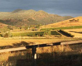 Optimiste Wines - Holiday Great Ocean Road 0