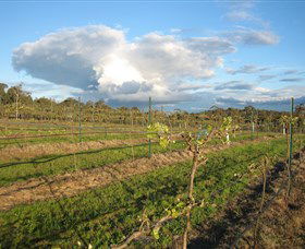 Flyfaire Wines - Holiday Great Ocean Road 7