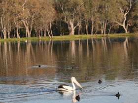 Drysdale Cheeses - Holiday Great Ocean Road 7