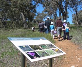 South Gundagai Woodlands Walk - Holiday Great Ocean Road 0