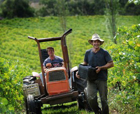 Kellybrook Winery, Kelly Brothers Cider & Riders Brew Co. - Holiday Great Ocean Road 0
