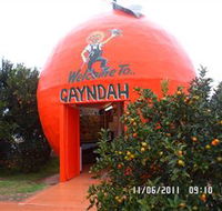 Gayndahs Big Orange