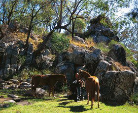 Coomba Falls - Holiday Great Ocean Road 0