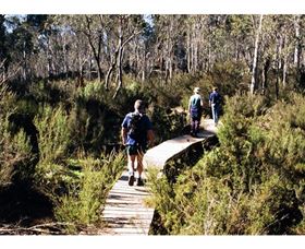 Hume And Hovell Walking Track - Henry Angel Trackhead - Holiday Great Ocean Road 0
