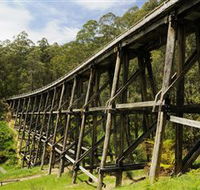 Noojee Trestle Bridge - Holiday Great Ocean Road