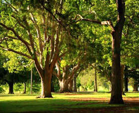 Queens Park, Toowoomba - Holiday Great Ocean Road 1