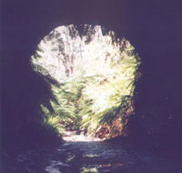 Glow Worm Tunnel - Holiday Great Ocean Road