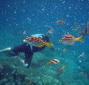 Imagine Cruises - Holiday Great Ocean Road